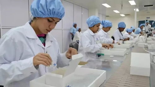 古巴抗癌疫苗取得新進(jìn)展，為攻克實(shí)體瘤帶來新希望