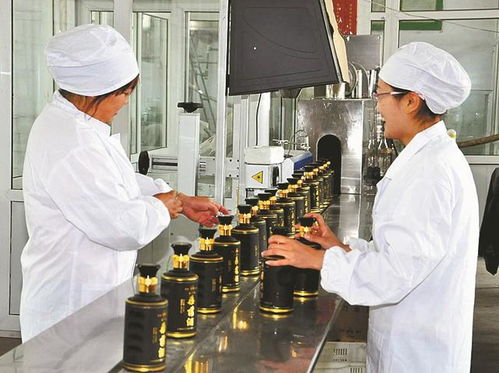 山西省非物質(zhì)文化遺產(chǎn) 桑落酒制作技藝