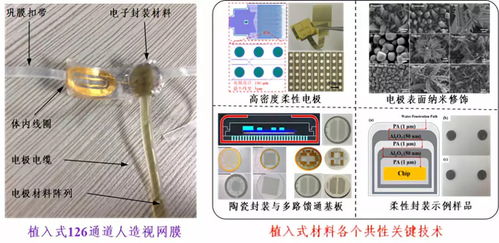 深圳先進院攜多個黑科技產品閃耀CIOE2018，推動光電技術交流與創新